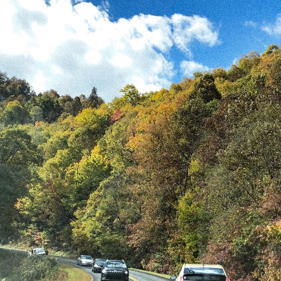 Meet your Posher, Mal - Picture 1 of 1